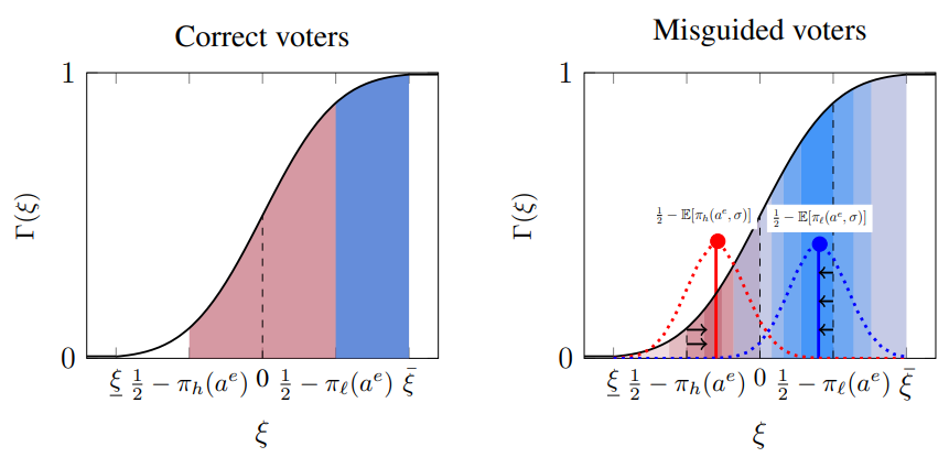 Political Accountability and Misinformation